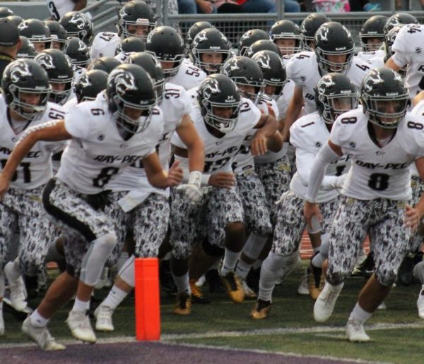 Ray Pec Panthers Football Fundraiser | Wefund4u